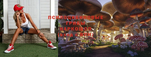 дживик Абинск