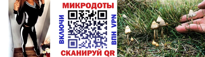Псилоцибиновые грибы мицелий  Невельск 